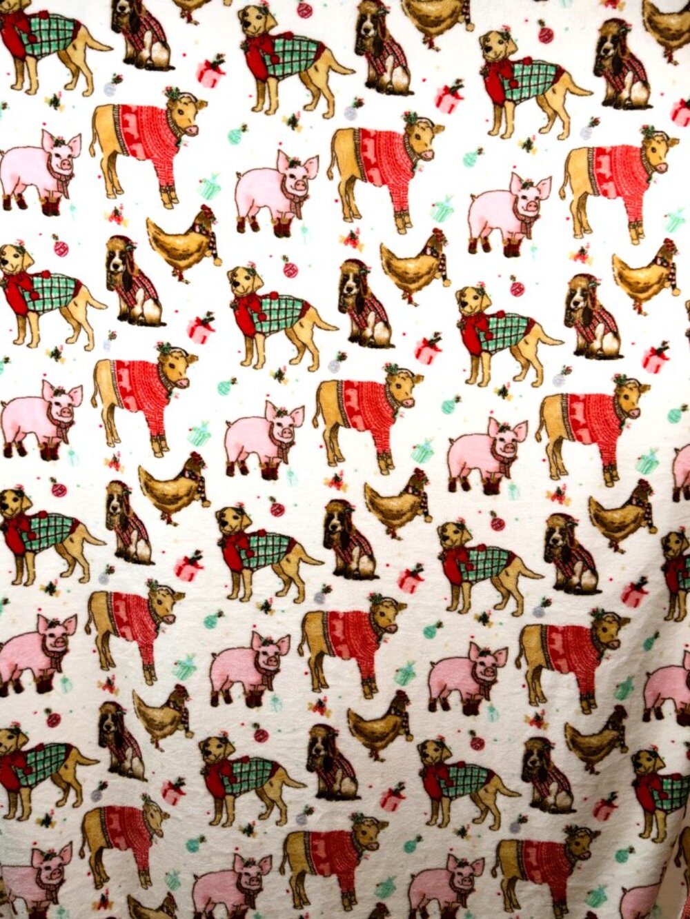 The Pioneer Woman Ranch Dance 50" x 72" Velvet Plush Throw